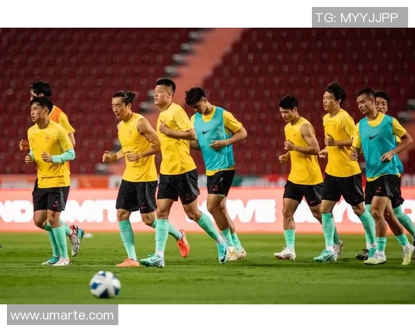 世界杯足球比赛直播cct5全程精彩回顾与精彩瞬间分享