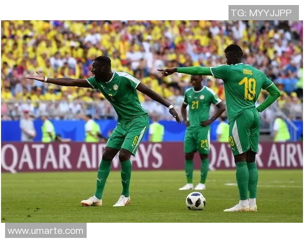 俄罗斯与巴西足球对决分析:历史交锋与战术解析探讨 俄罗斯与巴西足球对决分析:历史交锋与战术解析探讨