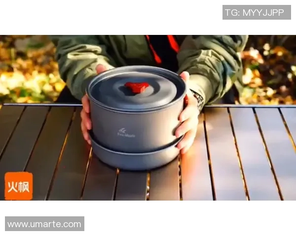 全面解析户外炉具的种类与选择技巧助你轻松享受露营美食体验