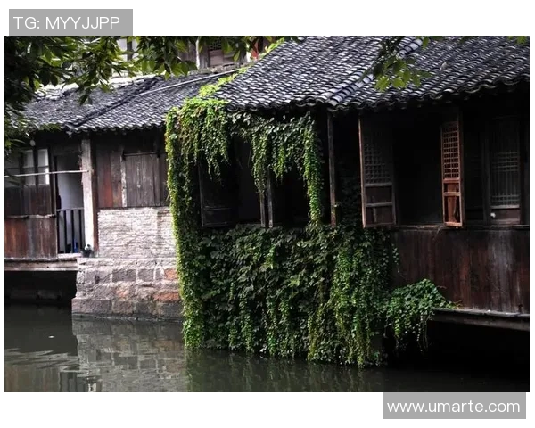 探索淅江的自然风光与人文魅力，感受江南水乡的独特韵味与历史底蕴