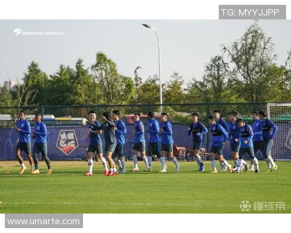 绿地申花主场迎战河北华夏全力争胜展现球队实力与决心